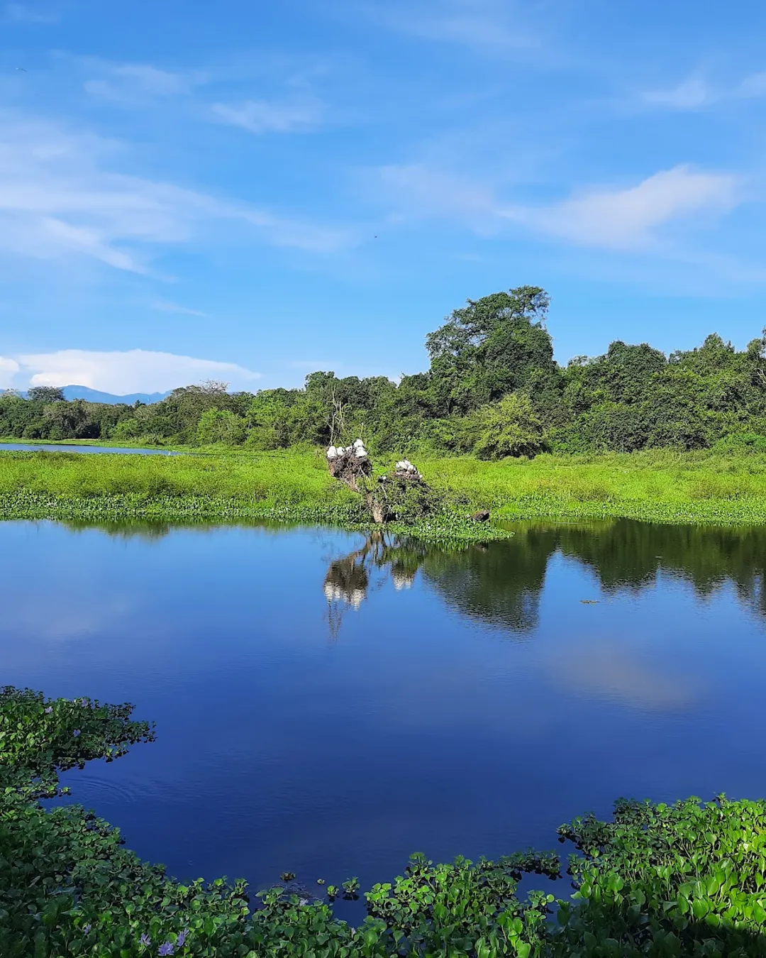 Wasgamuwa Biodiversity